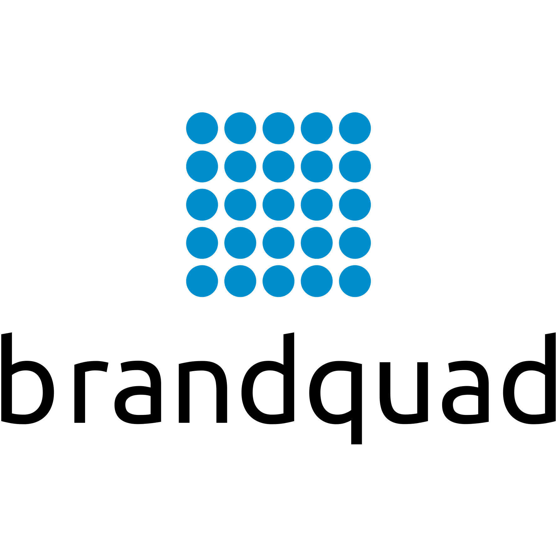 Brandquad_Logo